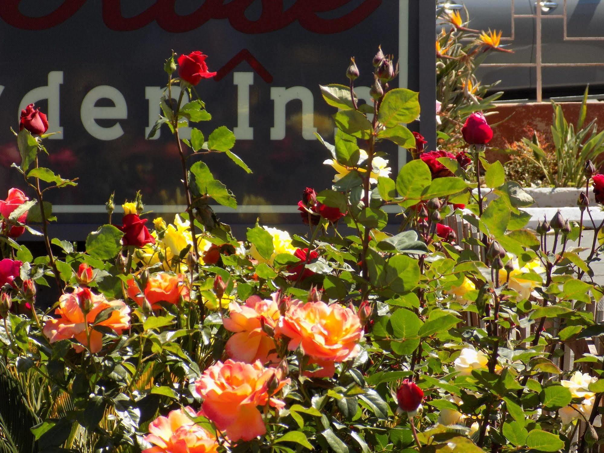 سانتا باربارا Rose Garden Inn المظهر الخارجي الصورة